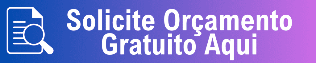 Como Fazer Extensão de Visto de Turismo nos EUA Guia Passo a Passo 3